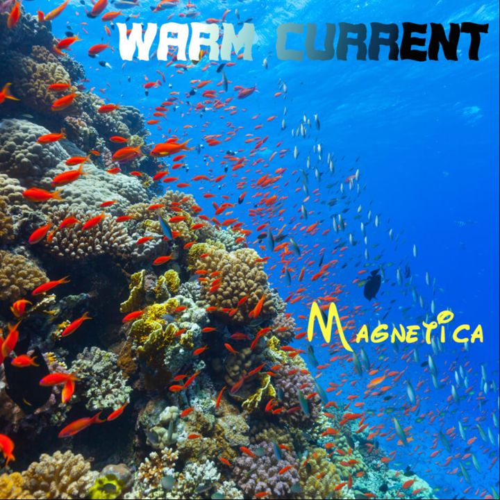 Magnetica — Warm Current