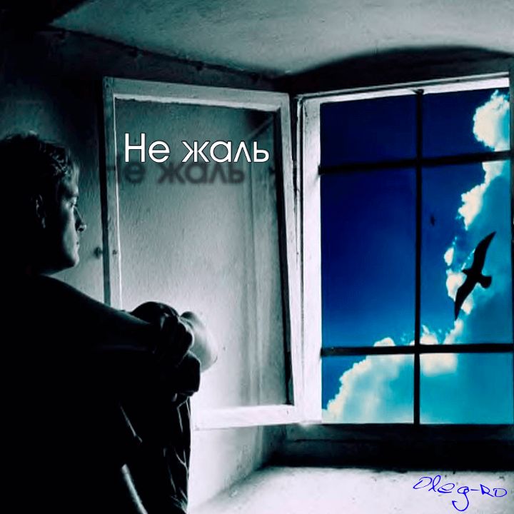 OlegRo — Не жаль