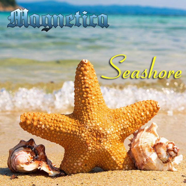 Magnetica — Seashore Soprano Sax